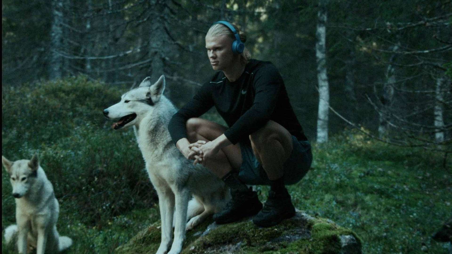 弗兰克无疑 弗兰克无疑