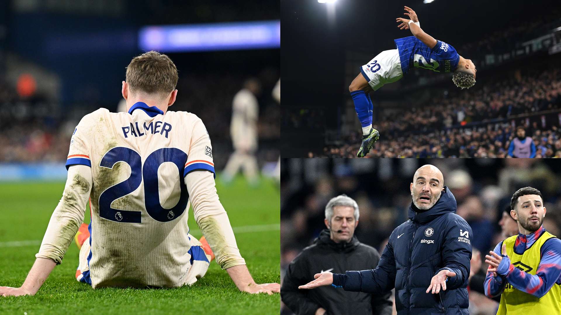 家举办的世 家举办的世