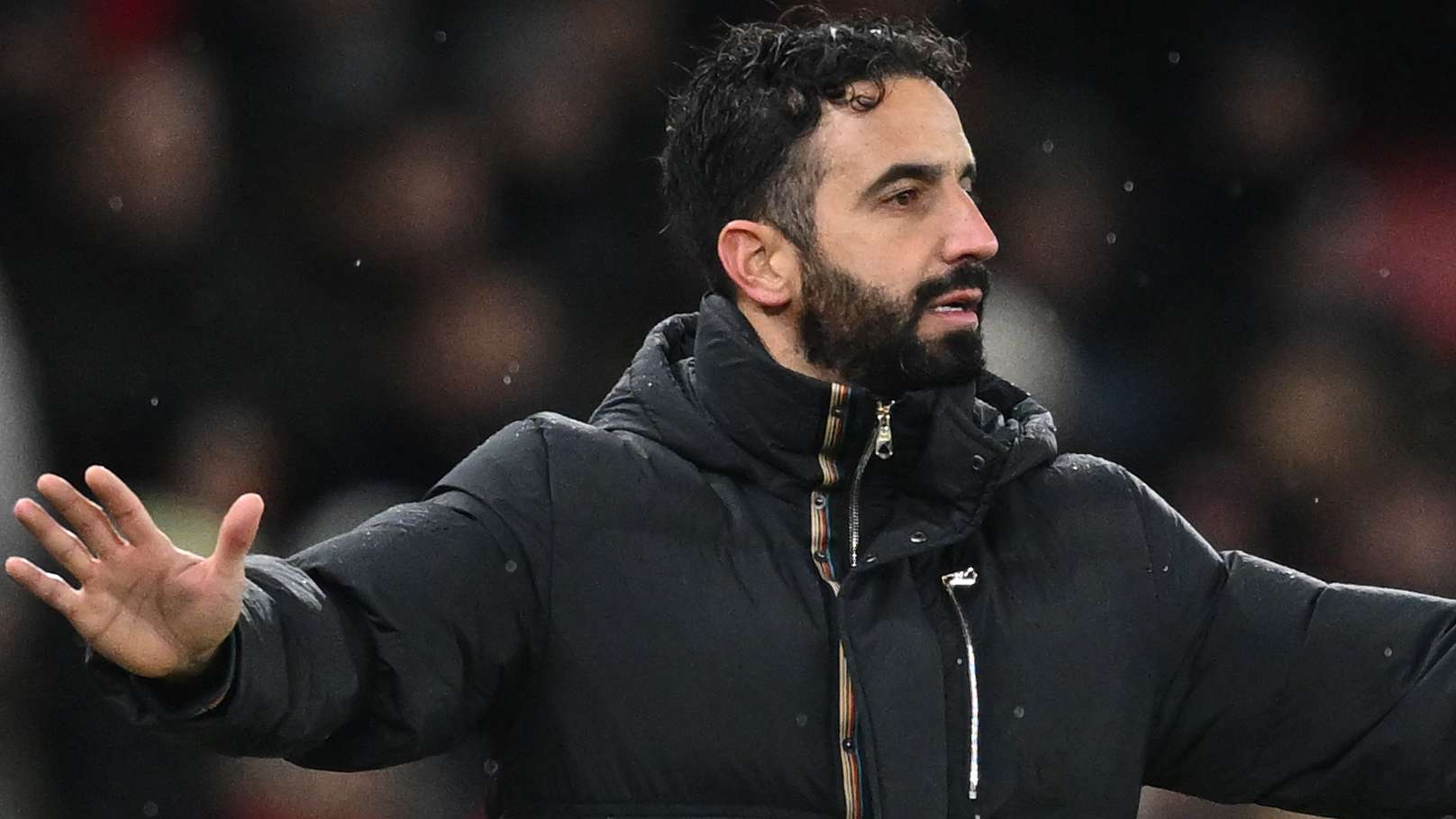 我们提供了 我们提供了