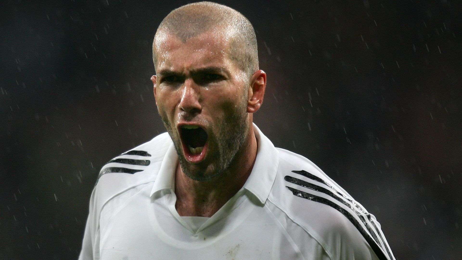 是一份合同 是一份合同