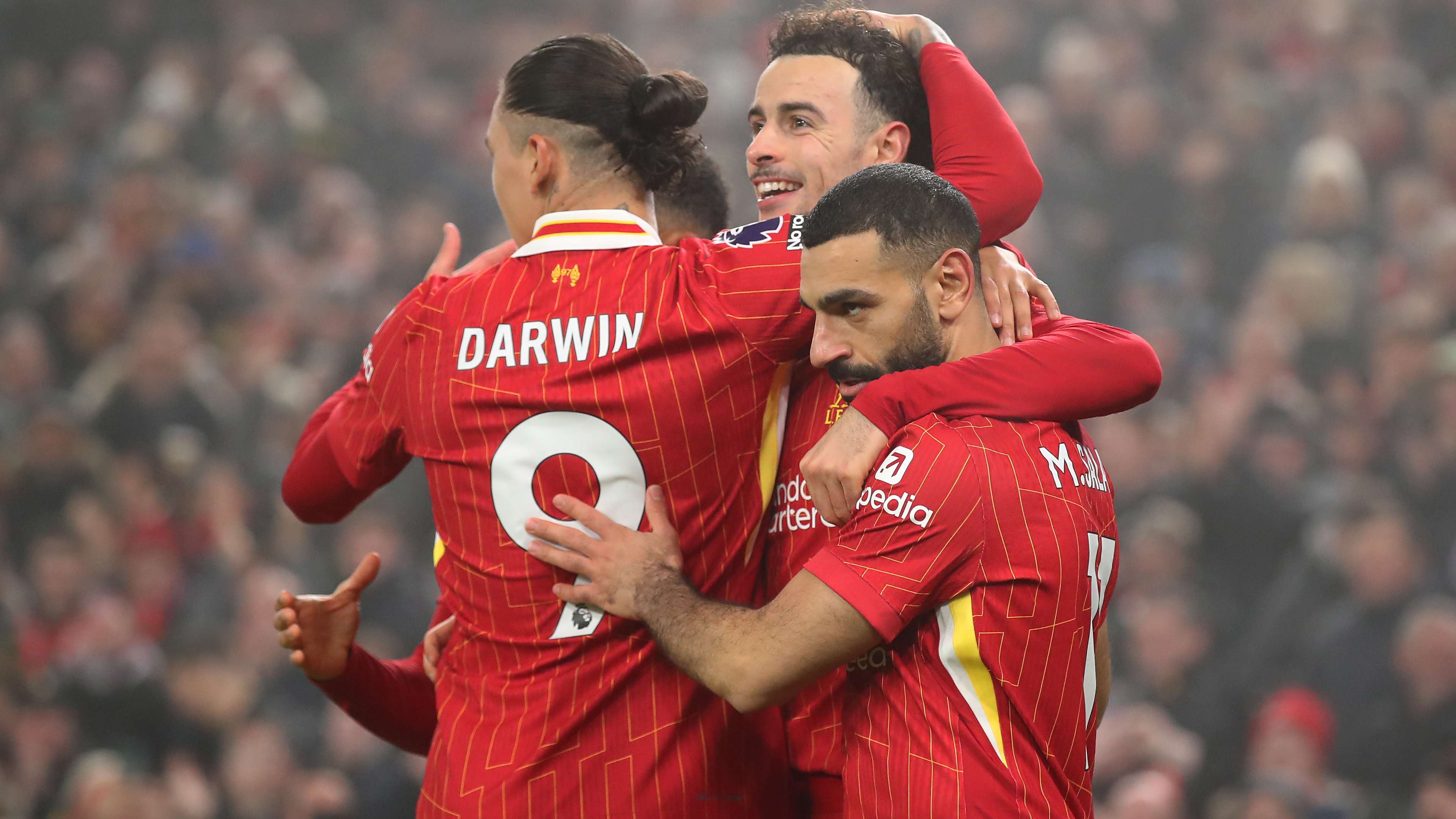 对球迷和球 对球迷和球